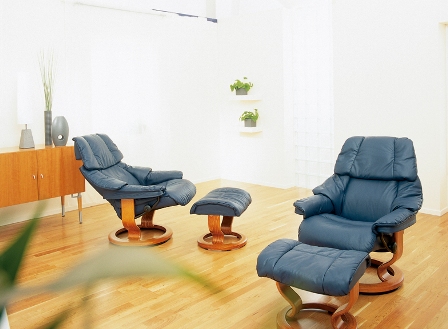  DISTRIBUIDORA GONZÁLEZ: “EMPRESA LÍDER VENTAS MUEBLES, ENSERES DEL HOGAR