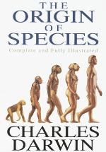  ¿CÓMO RELACIONABA DARWIN LA EXTINCIÓN Y LA EVOLUCIÓN?