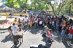  RAMÓN, NIÑA, DOS BURROS SE CASARON EN ZOODOM 
