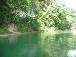  DÍA MUNDIAL MEDIO AMBIENTE; PLANETA VERDE, LLENO DE VIDA