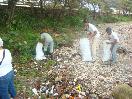  Realizan jornada mensual de limpieza de playa en Puerto Plata 