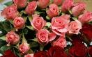  Regalar flores: un efectivo lenguaje para expresar amor