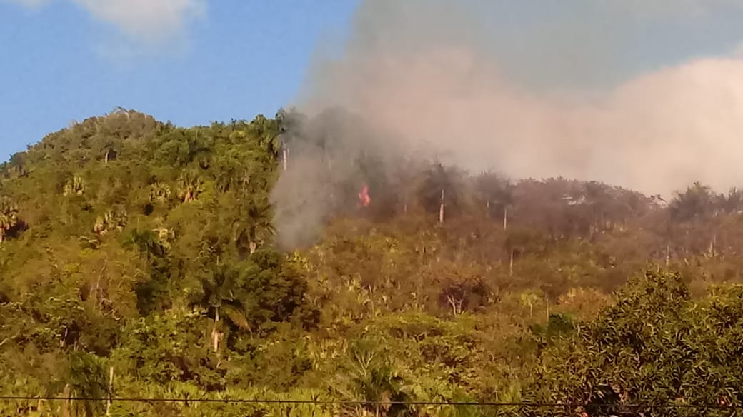  Se registran 2 incendios forestales en Puerto Plata, especulan fueron causados por manos criminales