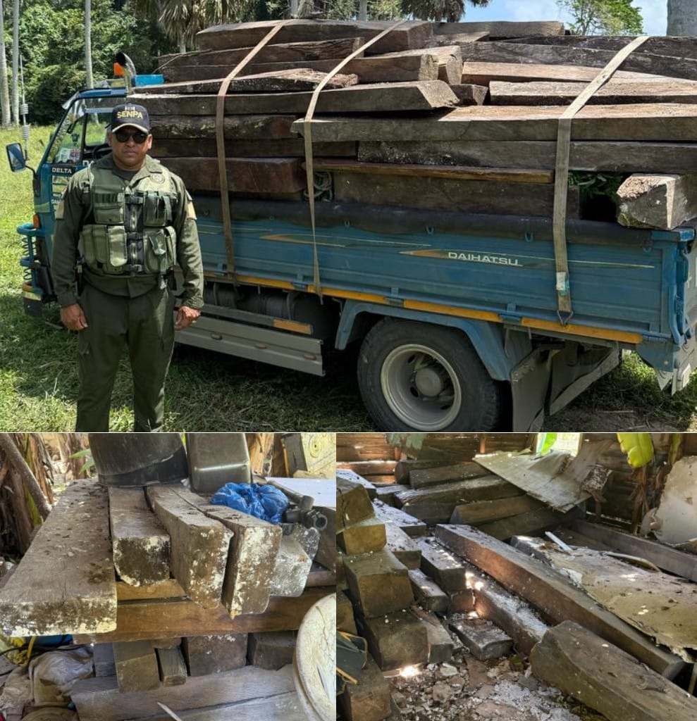    Autoridades de Medio Ambiente incautan gran cantidad de madera preciosa en Sosúa   