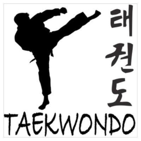 Realizarán éste domingo fogueo de Taekwondo con la participación de