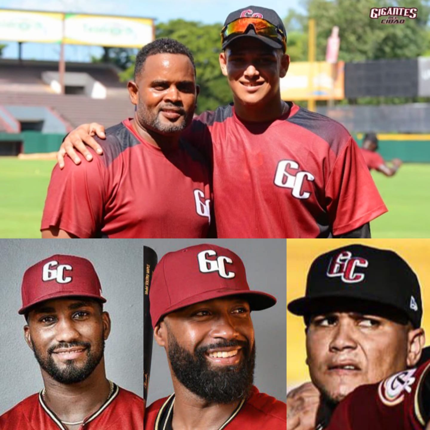Varios peloteros nativos de Puerto Plata conforman róster del equipo
