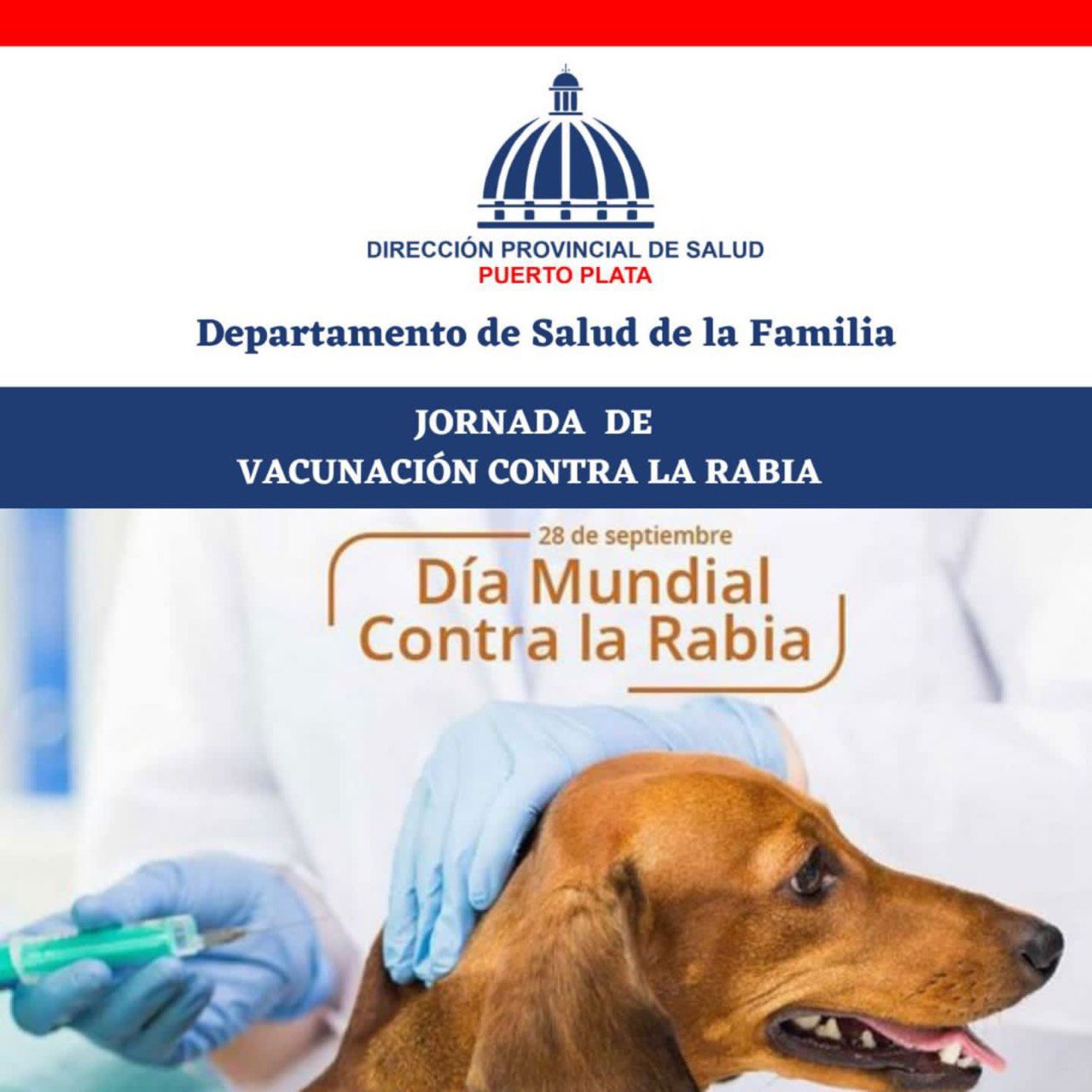 Salud Pública efectúa jornada vacunación antirrábica a perros y gatos en Puerto Plata y Sosúa 