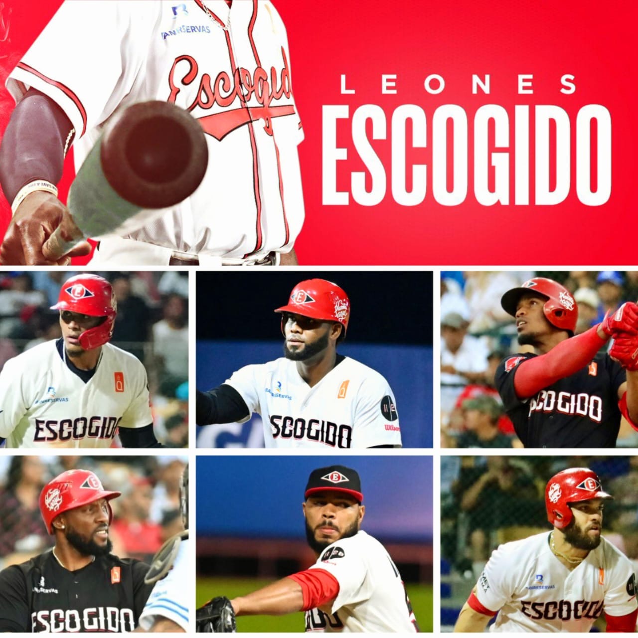  Puertoplateño Erik González seguirá con los Leones del Escogido tras renovar contrato