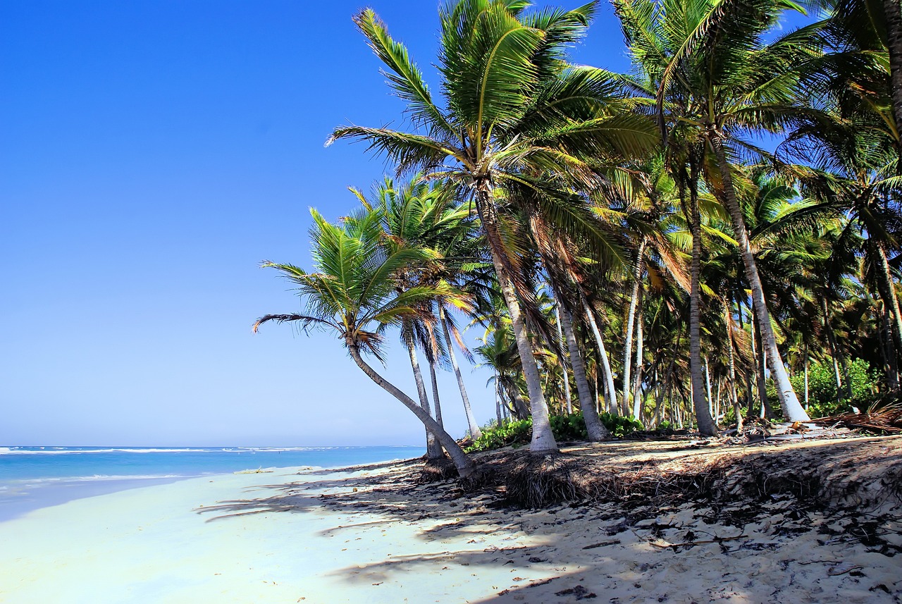  Guía turística a Punta Cana: Un paraíso caribeño al alcance de todos