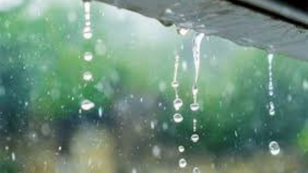  Ocurren lluvias con ráfagas de viento y tronadas en locaciones de Puerto Plata; afectan servicio eléctrico