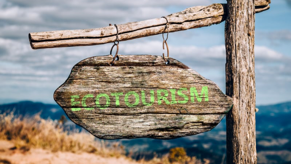  Anuncian la 17.ª Feria Ganadera Ecoturistica El Cupey 2025  