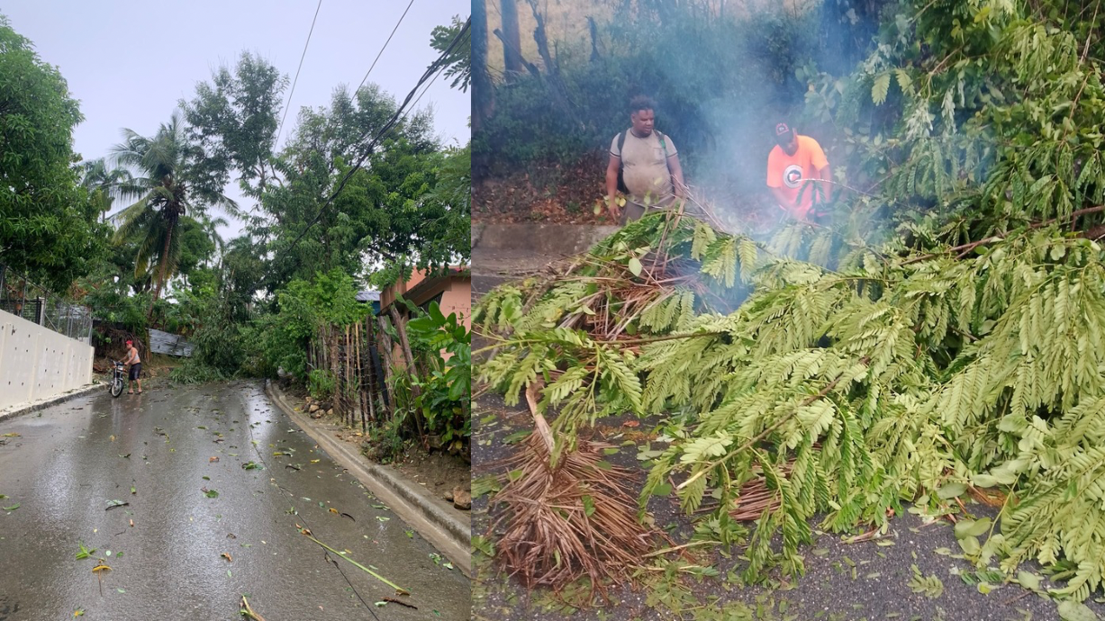   Se registran caídas de árboles por fuertes vientos y lluvias torrenciales en Puerto Plata  